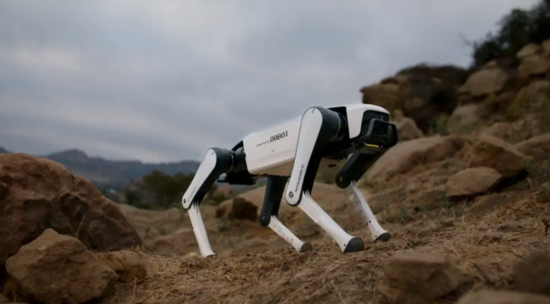 Dobot Rover X1 — «умный пес» по цене смартфона